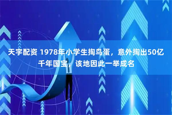 天宇配资 1978年小学生掏鸟蛋，意外掏出50亿千年国宝，该地因此一举成名